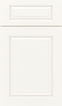 Plaza 5 Piece Maple Raised Panel Cabinet Door in White