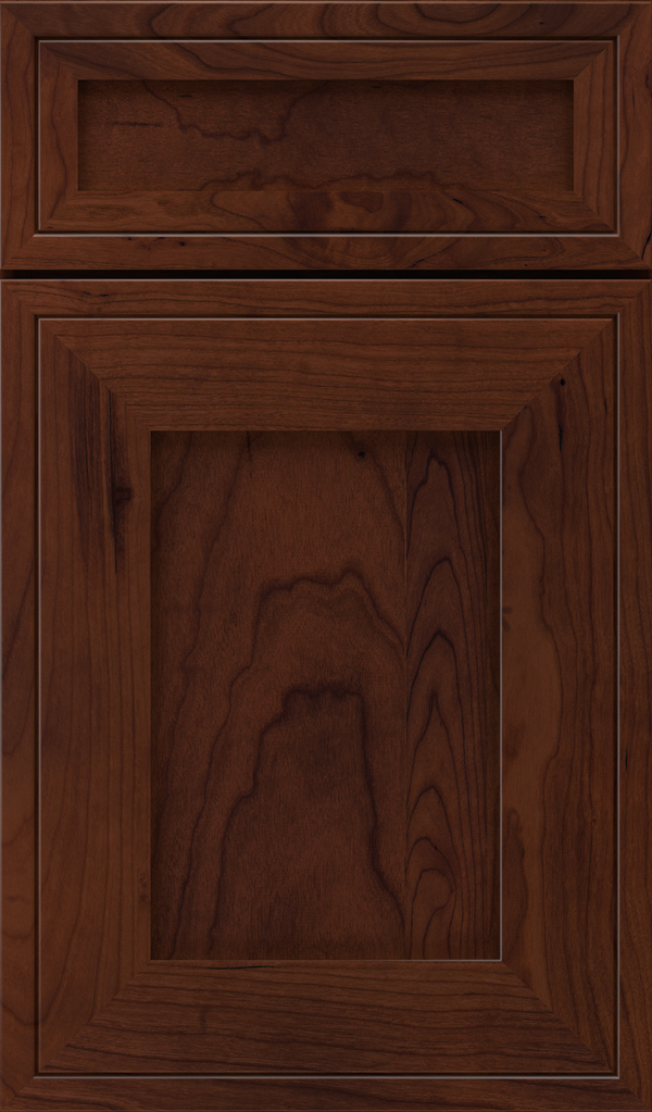 airedale_5pc_cherry_shaker_style_cabinet_door_sepia
