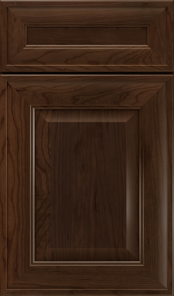 davenport_5pc_cherry_raised_panel_cabinet_door_bombay