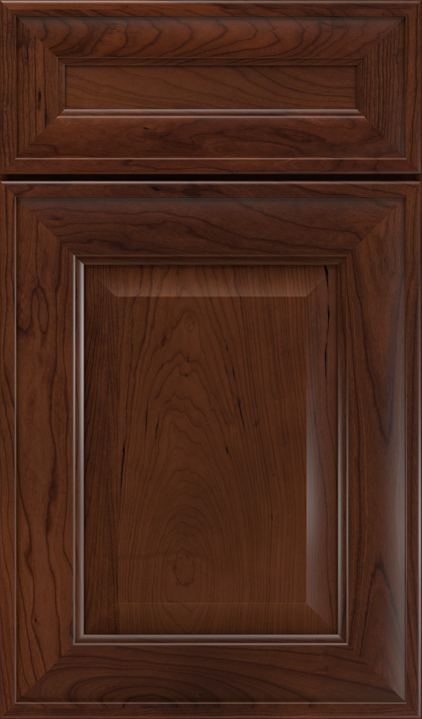 davenport_5pc_cherry_raised_panel_cabinet_door_sepia