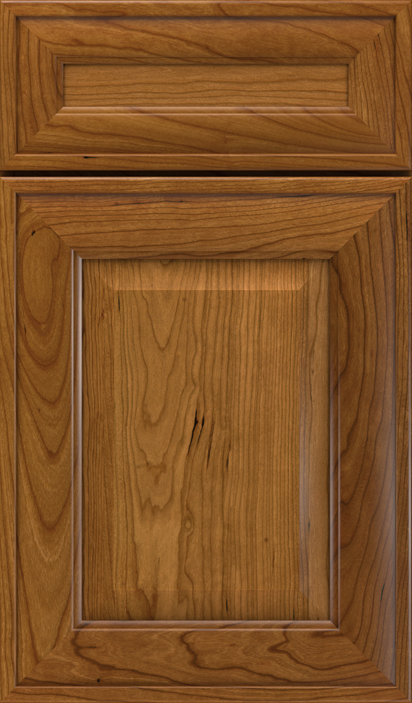 davenport_5pc_cherry_raised_panel_cabinet_door_suede