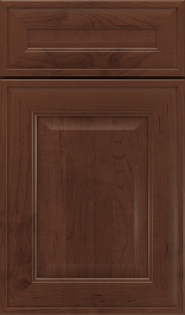 davenport_5pc_maple_raised_panel_cabinet_door_sepia