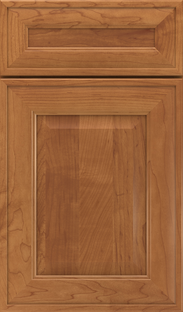 davenport_5pc_maple_raised_panel_cabinet_door_suede