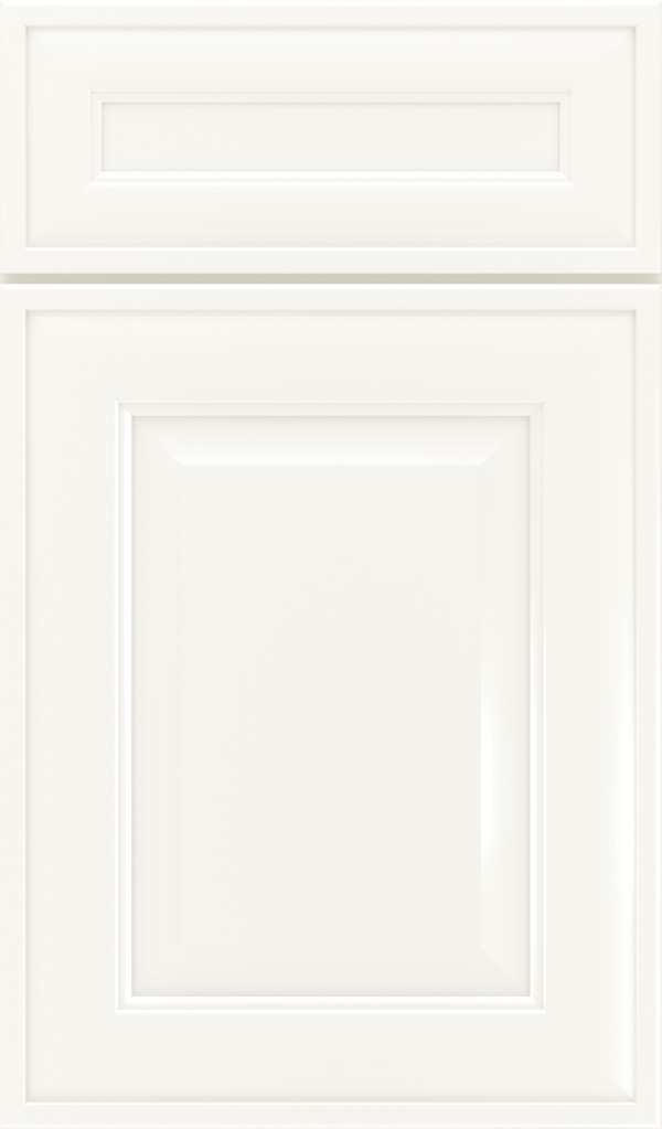 Davenport 5-Piece Maple Raised Panel Cabinet Door in White