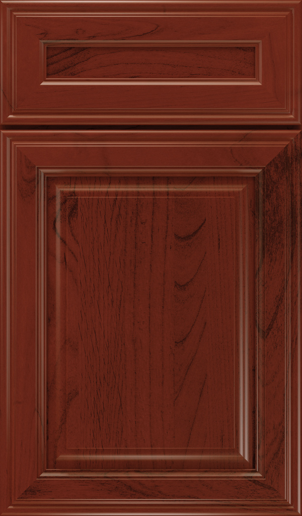 galleria_5pc_alder_raised_panel_cabinet_door_arlington