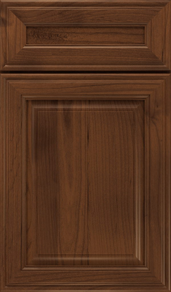 galleria_5pc_alder_raised_panel_cabinet_door_sepia
