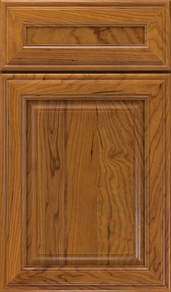Galleria 5-Piece Cherry Raised Panel Cabinet Door in Pheasant