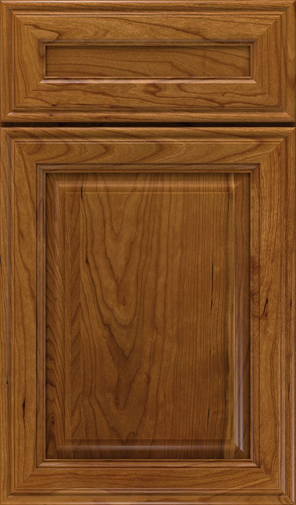 Galleria 5-Piece Cherry Raised Panel Cabinet Door in Suede