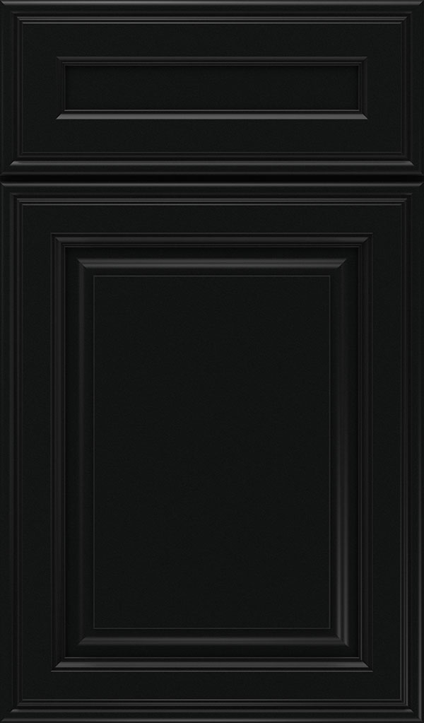 Galleria 5-Piece Maple Raised Panel Cabinet Door in Jet
