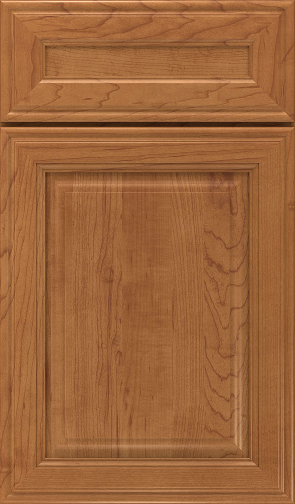 Galleria 5-Piece Maple Raised Panel Cabinet Door in Suede