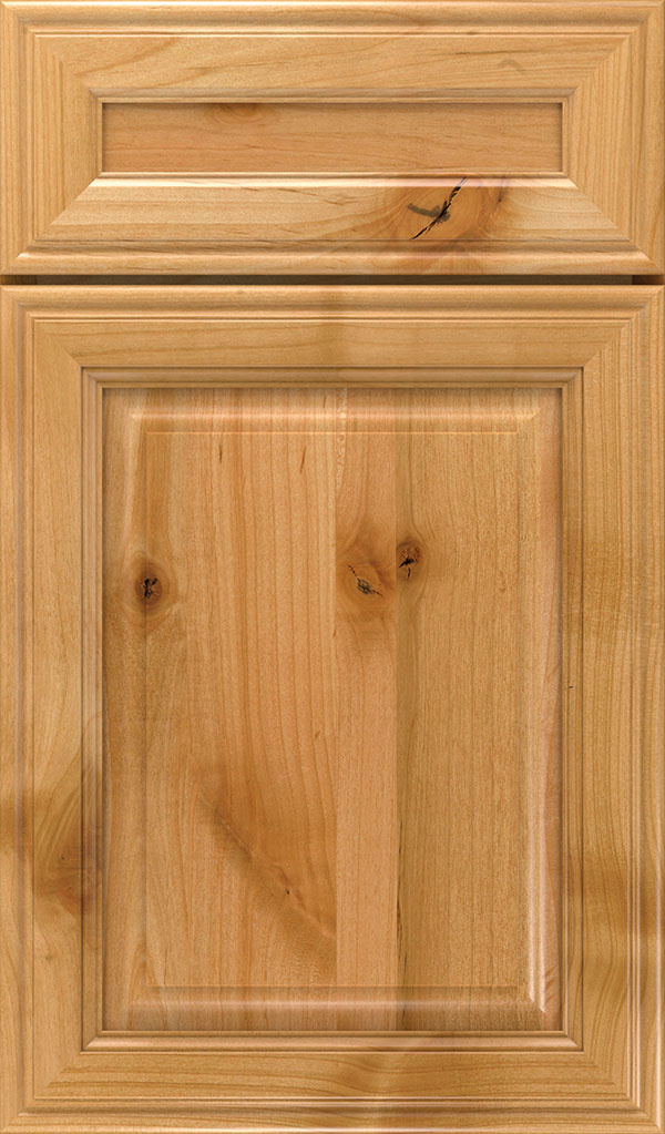 Galleria 5-Piece Rustic Alder Raised Panel Cabinet Door in Natural