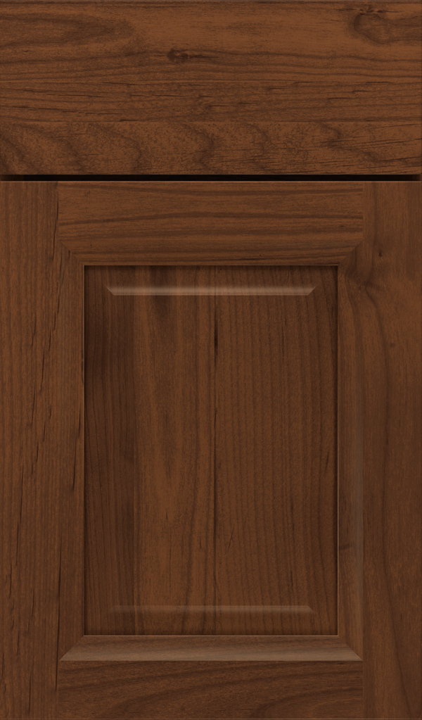 hawthorne_alder_raised_panel_cabinet_door_sepia