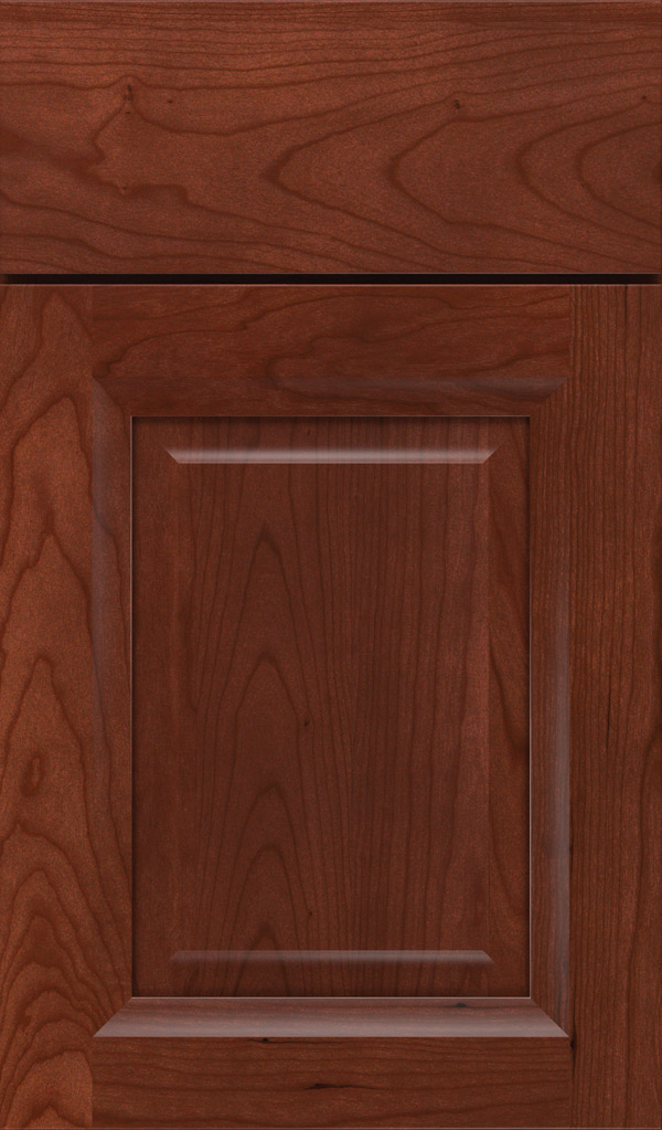 hawthorne_cherry_raised_panel_cabinet_door_arlington
