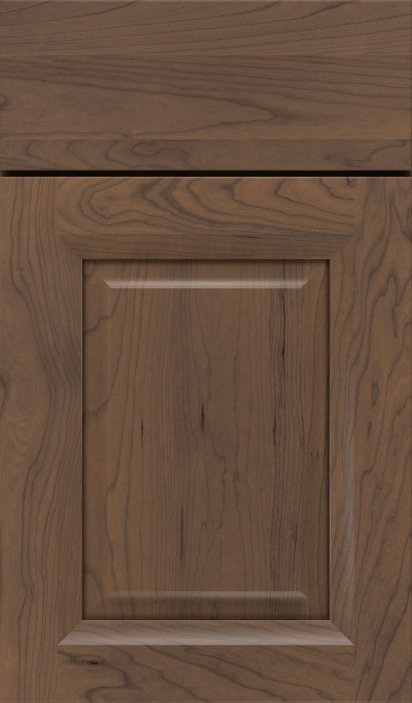 Hawthorne Cherry raised panel cabinet door in Kindling