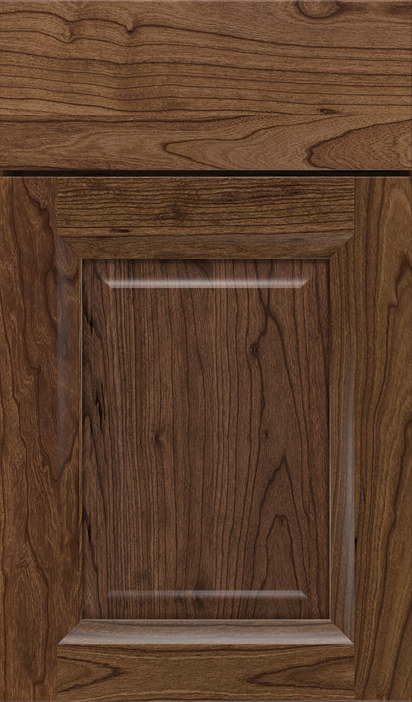 hawthorne_cherry_raised_panel_cabinet_door_mink