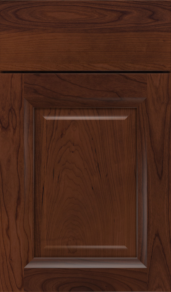 hawthorne_cherry_raised_panel_cabinet_door_sepia