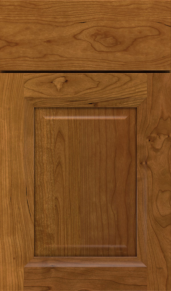 Hawthorne Cherry Raised Panel Cabinet Door in Suede