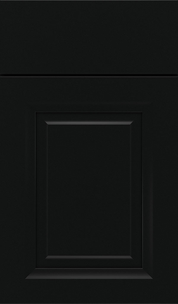 Hawthorne Maple Raised Panel Cabinet Door in Jet