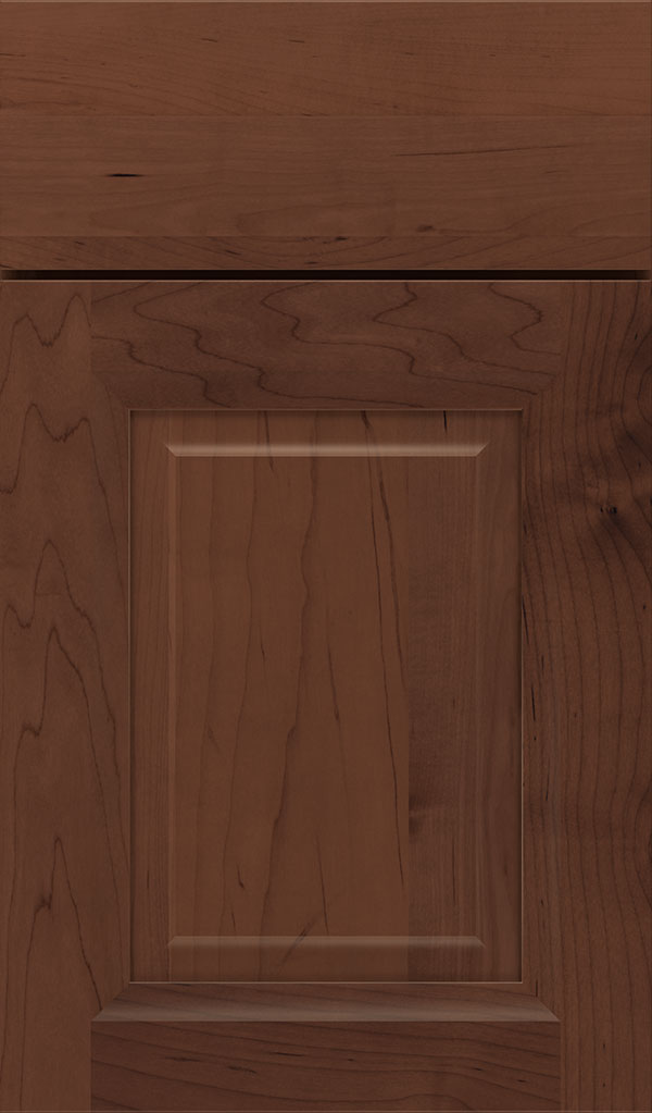 Hawthorne Maple Raised Panel Cabinet Door in Sepia