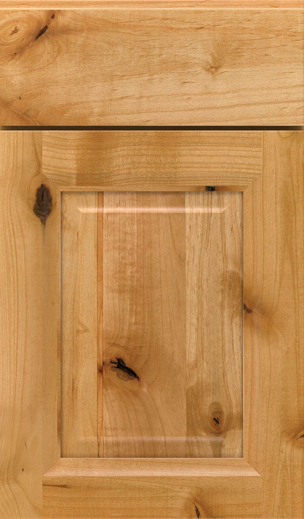 Hawthorne Rustic Alder Raised Panel Cabinet Door in Natural