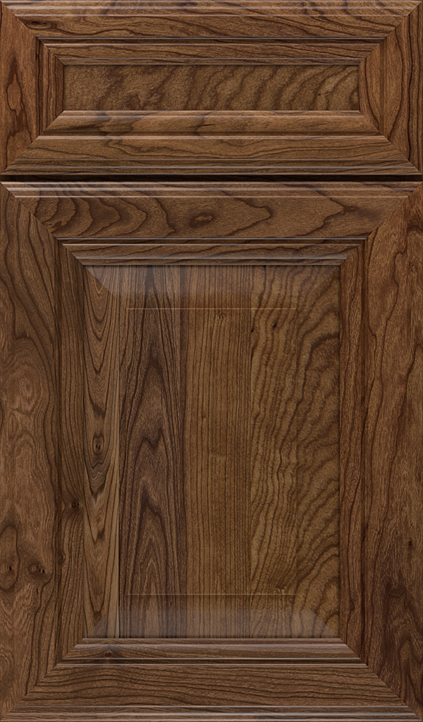 lexington_5pc_cherry_raised_panel_cabinet_door_mink
