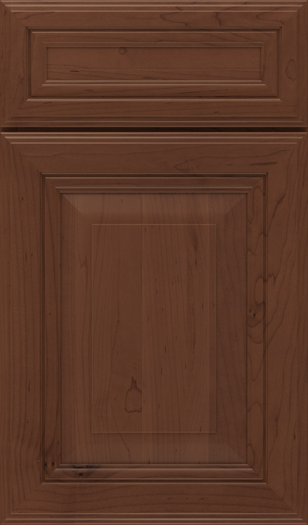 lexington_5pc_maple_raised_panel_cabinet_door_sepia