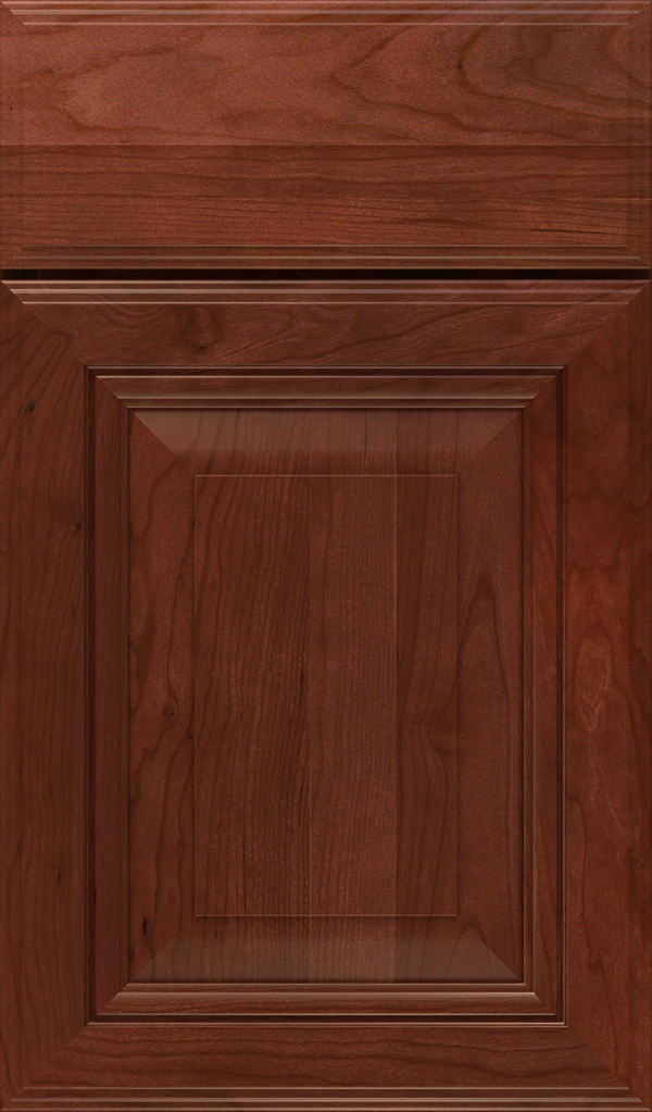 Lexington Cherry Raised Panel Cabinet Door in Arlington