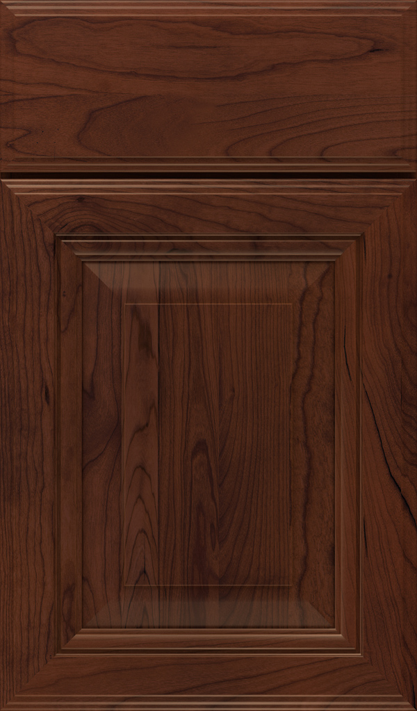 lexington_cherry_raised_panel_cabinet_door_sepia