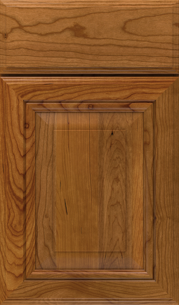 lexington_cherry_raised_panel_cabinet_door_suede