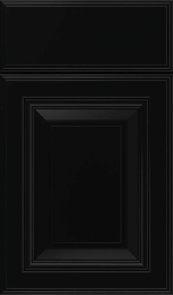 Lexington Maple Raised Panel Cabinet Door in Jet