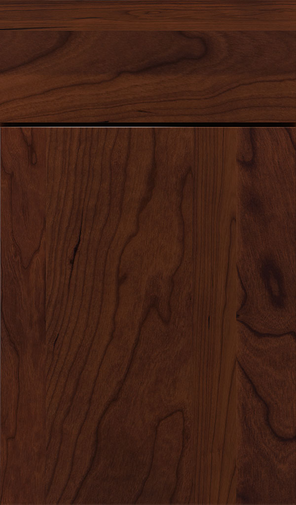 Marquis Chery Slab Cabinet Door in Sepia