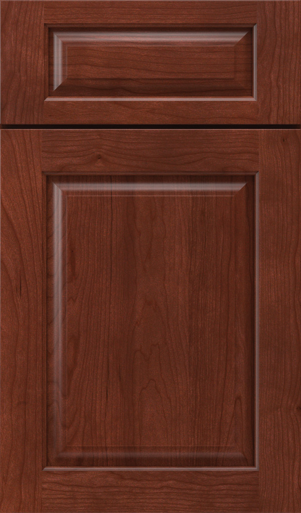 plaza_5pc_cherry_raised_panel_cabinet_door_arlington