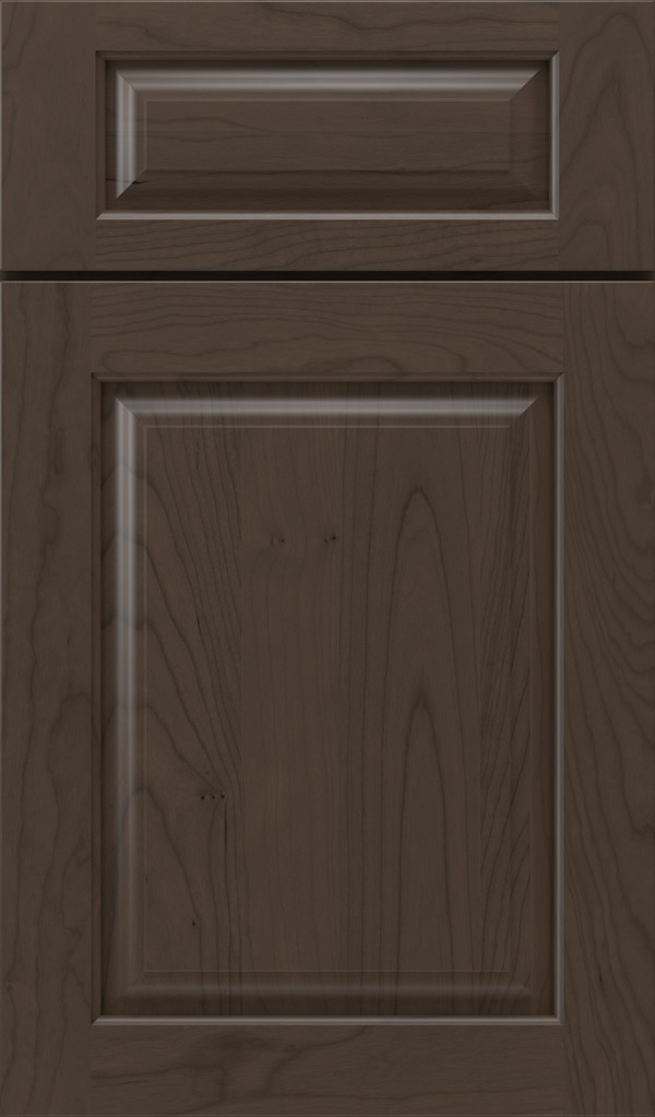 plaza_5pc_cherry_raised_panel_cabinet_door_shadow