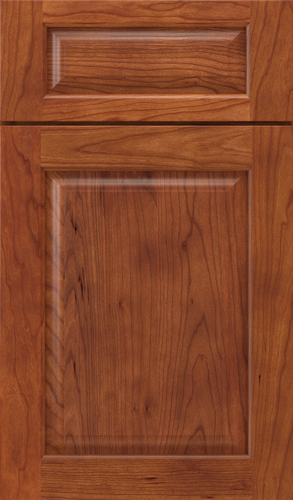 plaza_5pc_cherry_raised_panel_cabinet_door_shetland