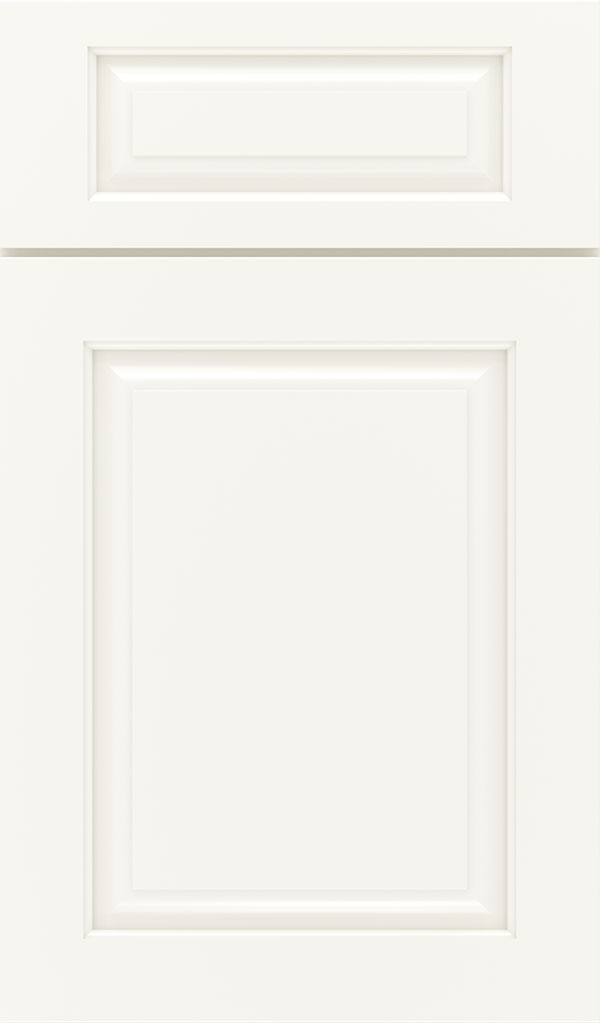 Plaza 5 Piece Maple Raised Panel Cabinet Door in White