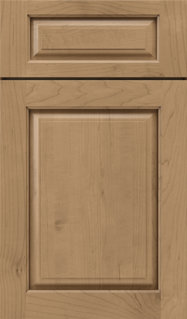 plaza_5pc_maple_raised_panel_cabinet_door_gunny