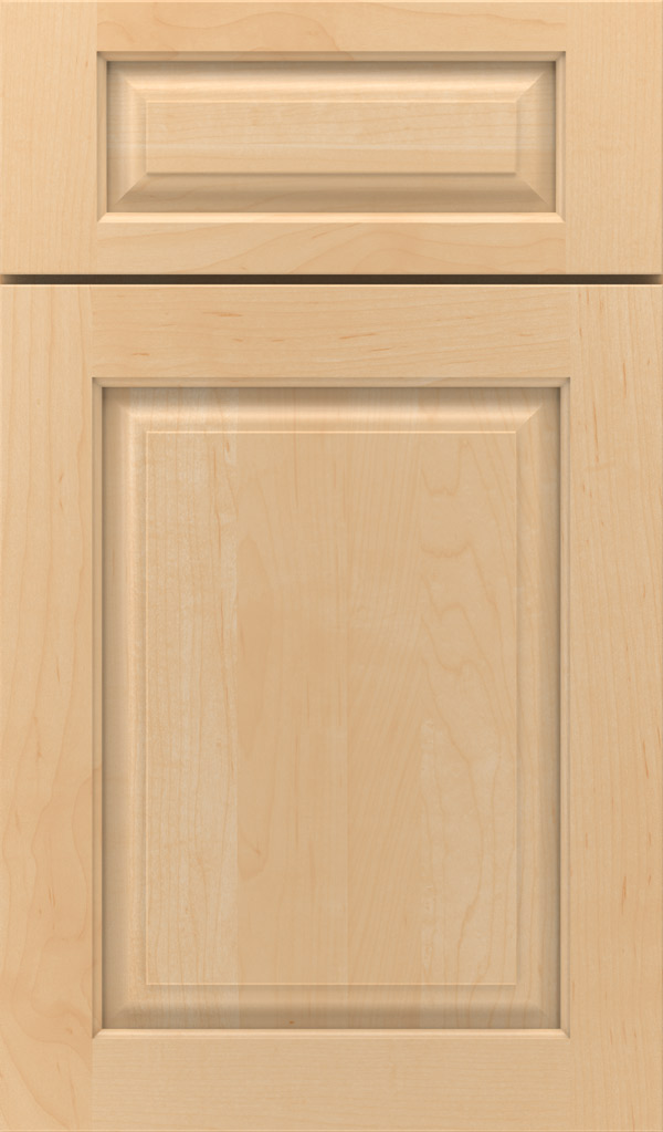 Plaza Raised Panel Door Decora