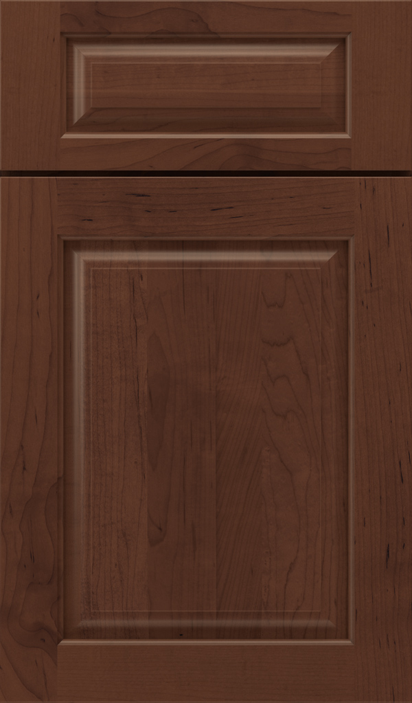 plaza_5pc_maple_raised_panel_cabinet_door_sepia