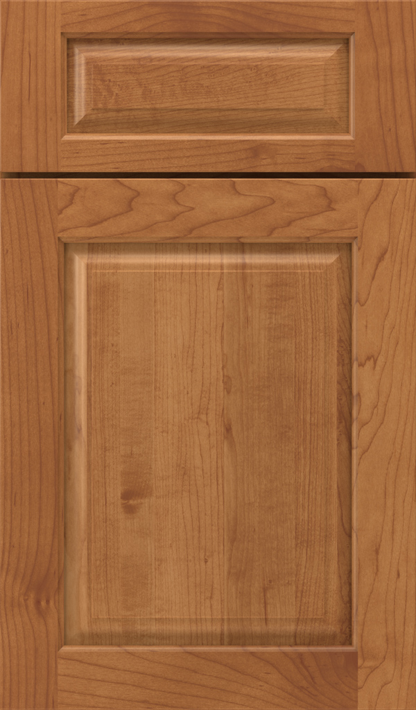 plaza_5pc_maple_raised_panel_cabinet_door_suede