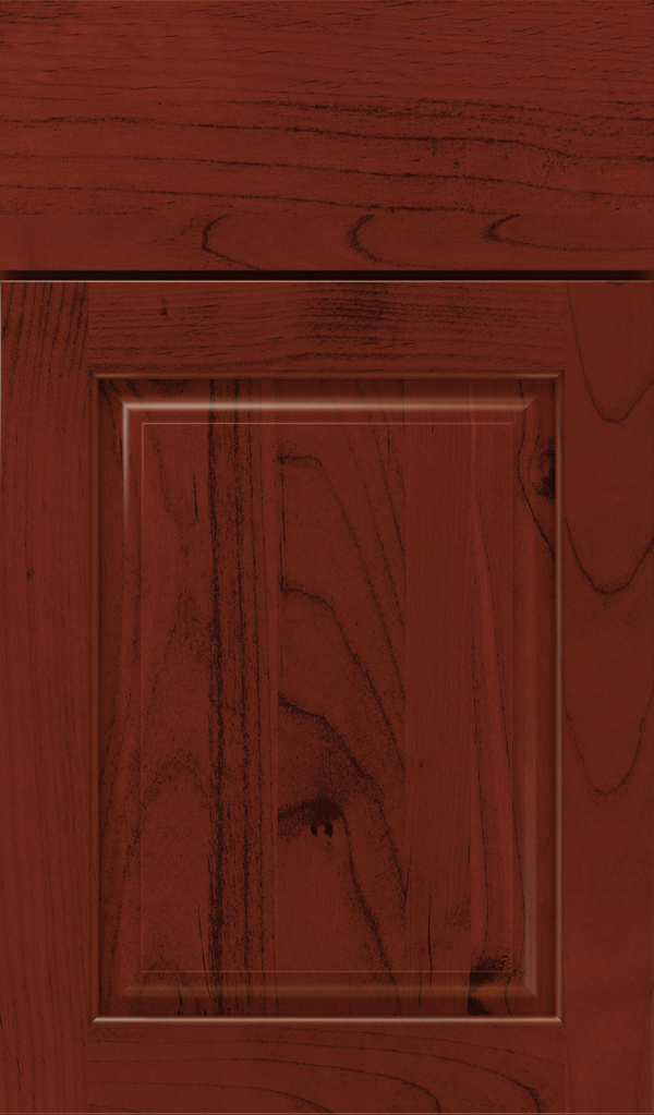 plaza_alder_raised_panel_cabinet_door_arlington