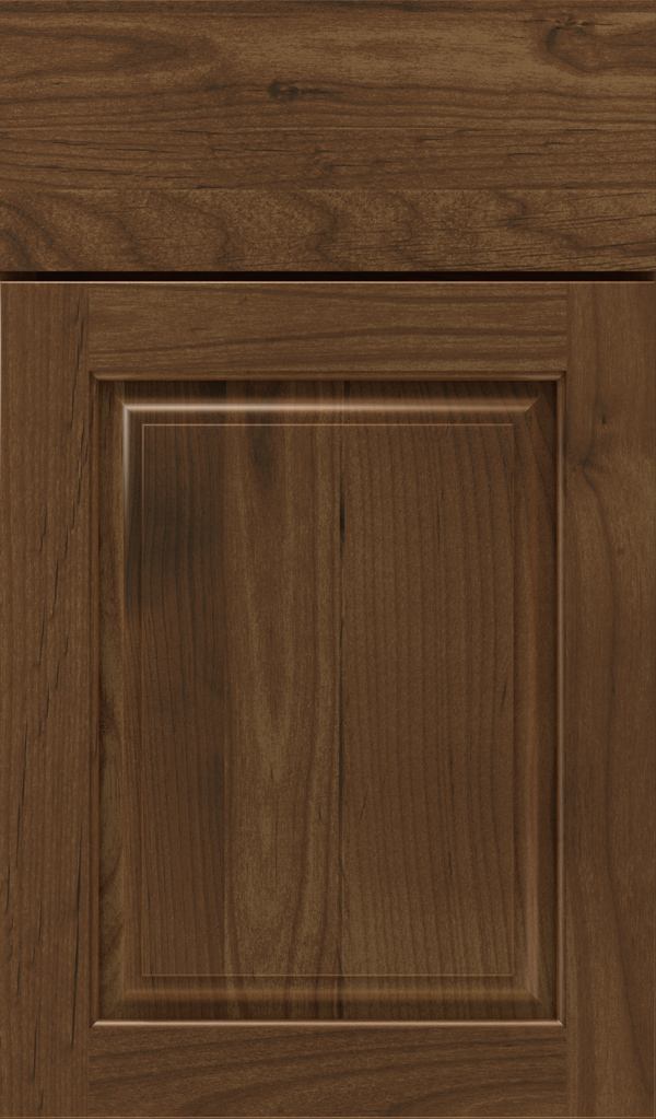 plaza_alder_raised_panel_cabinet_door_mink