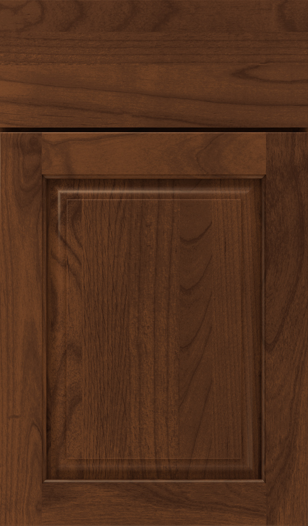 plaza_alder_raised_panel_cabinet_door_sepia