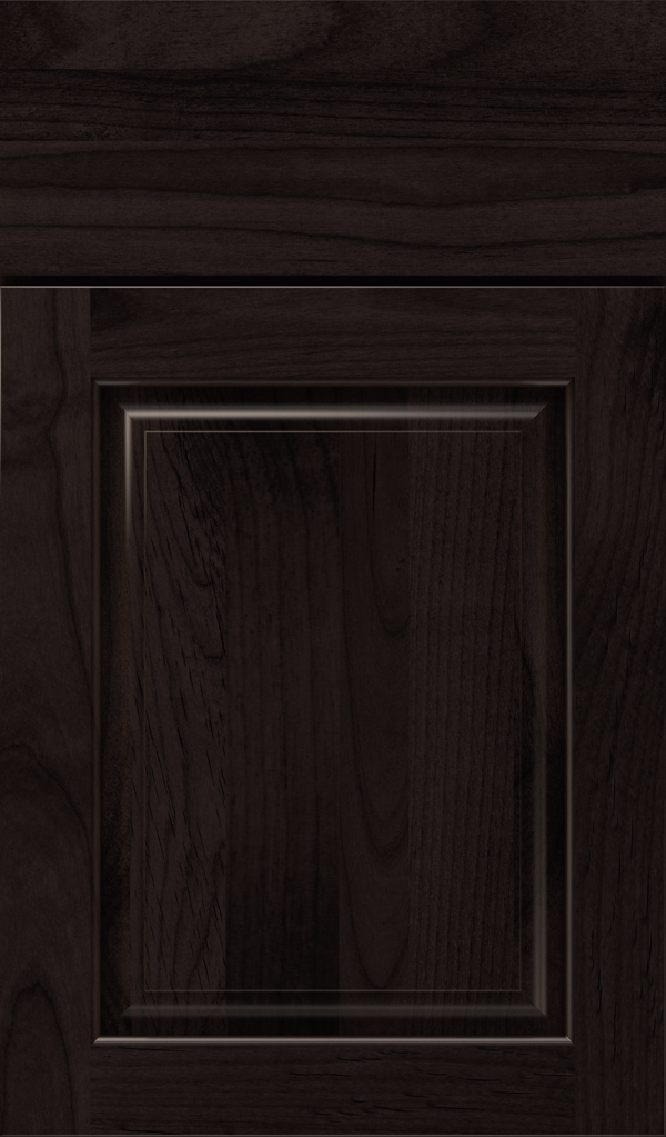 plaza_alder_raised_panel_cabinet_door_teaberry