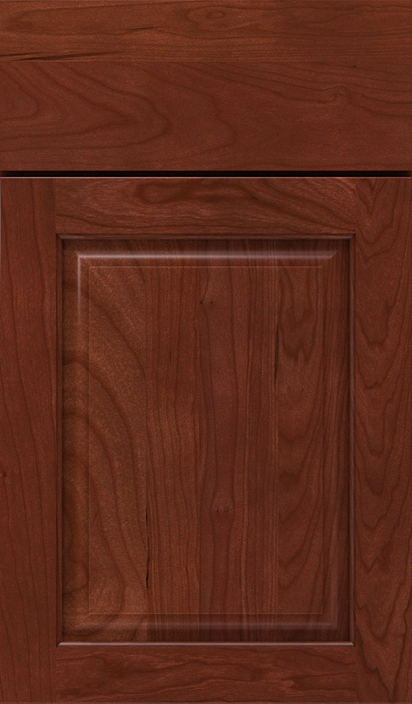 Plaza Cherry Raised Panel Cabinet Door in Arlington Espresso