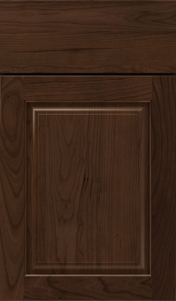 plaza_cherry_raised_panel_cabinet_door_bombay