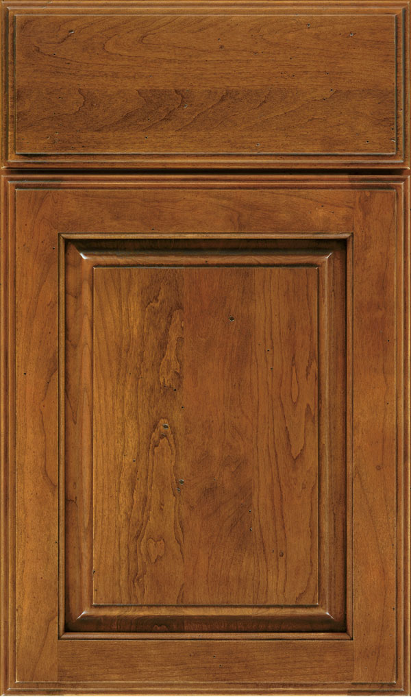 Plaza Cherry Raised Panel Cabinet Door in Bourbon Noir