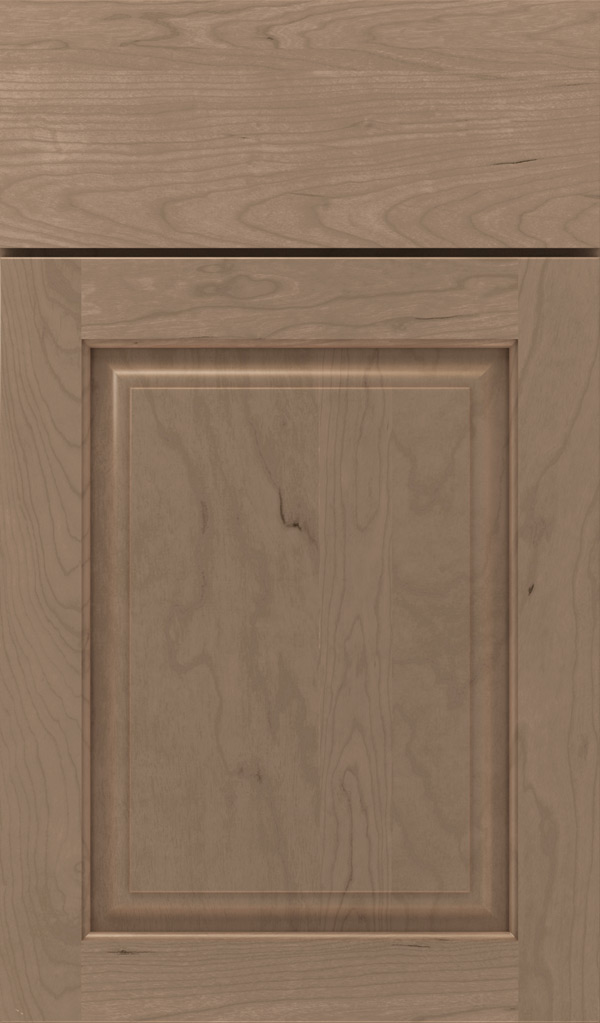 plaza_cherry_raised_panel_cabinet_door_fog