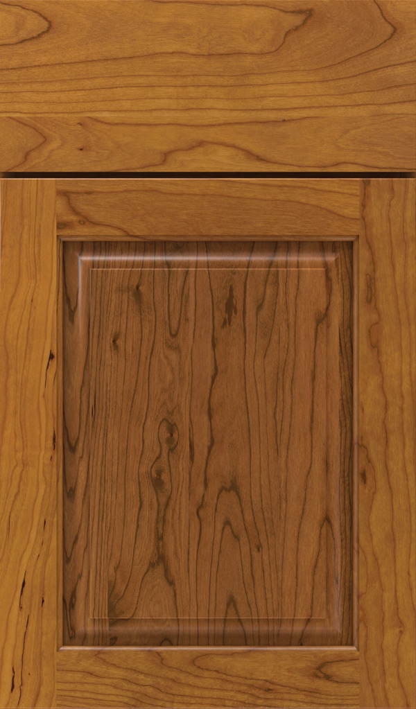 plaza_cherry_raised_panel_cabinet_door_pheasant