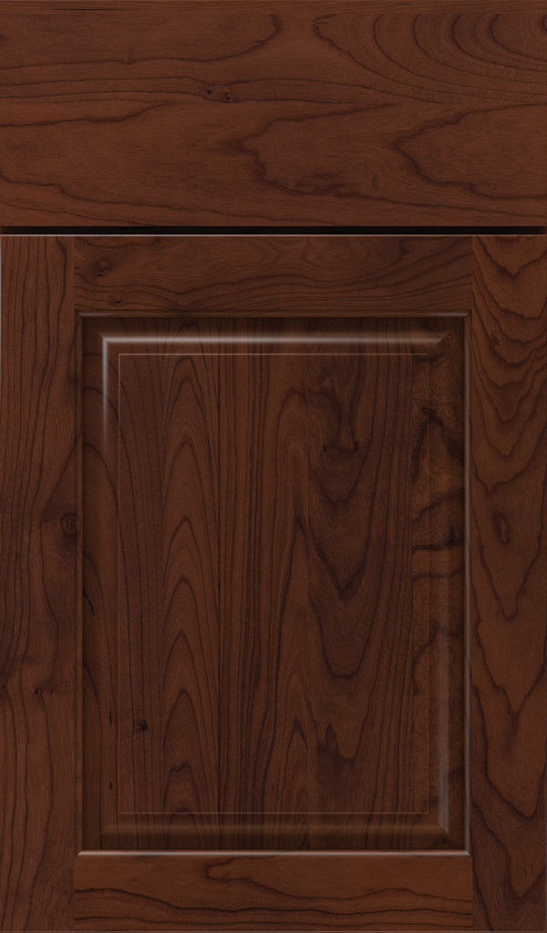 plaza_cherry_raised_panel_cabinet_door_sepia