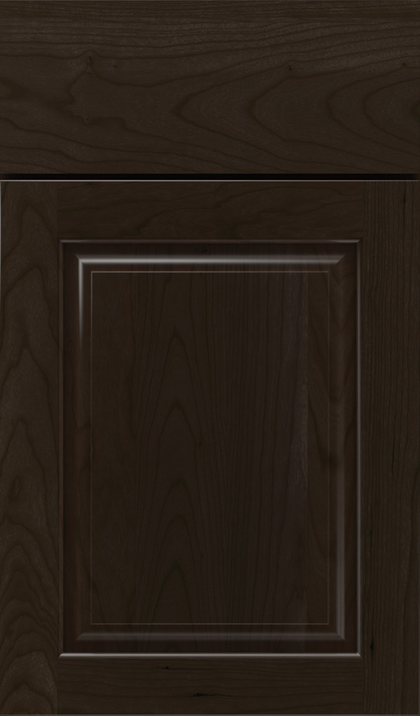 plaza_cherry_raised_panel_cabinet_door_teaberry